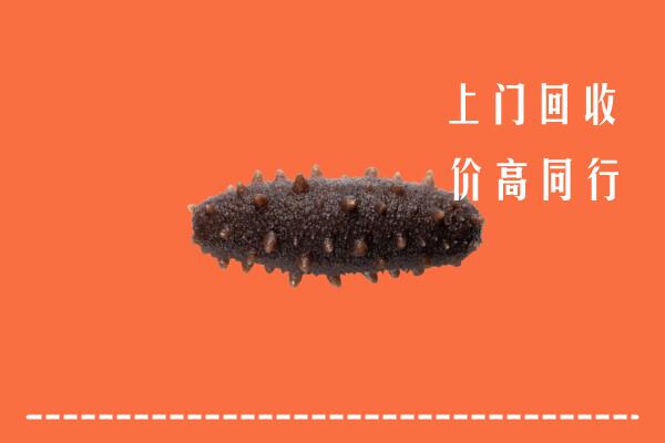 高价求购：玉树州回收海参